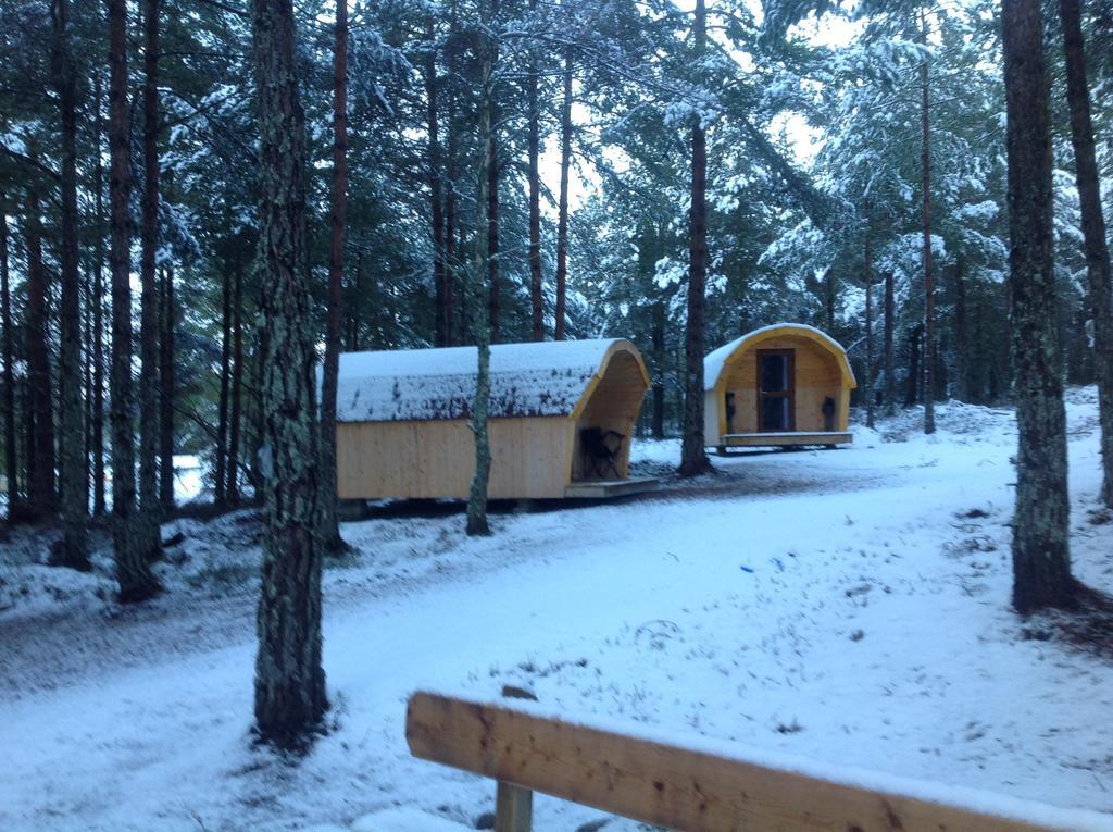 Hotel Camping Pod Heaven Brackla Zewnętrze zdjęcie